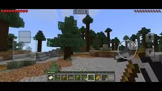 Играю в minecraft