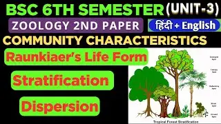 Community Characteristics in Hindi/BSc 6th Semester Zoology 2nd/Stratification/Raunkiaer's Life form
