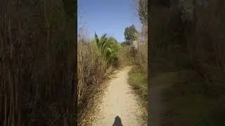 Sweetwater Trail Park Loop