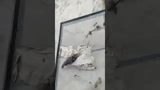 M Hawk Scorpio Cabin Filter Clean @ShreeBalajiAuto #youtubeshort #ytshorts #ytshortsindia