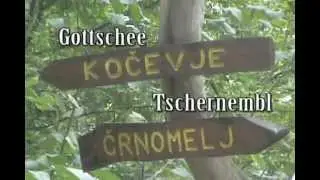 Gottschee Celebration