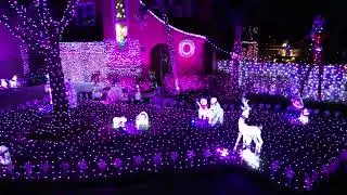 'Carol of the Bells' by Lindsey Stirling via 4K Drone(The Dixon's 2025 Christmas Light Show)
