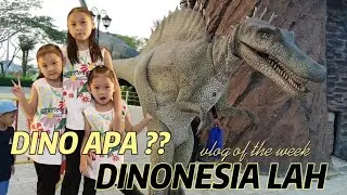 QBC - MAIN SEHARIAN DI DINONESIA SEPUASNYA | A Day In Your Life