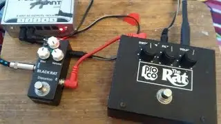 Mosky Black Rat vs Proco Rat (from the 90s)