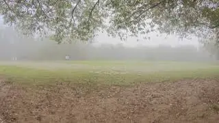 Foggy Autumn River Ducks (360 video)