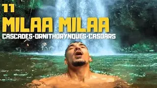 AUSTRALIE #EP11 : CASCADES ET ANIMAUX RARES DE CAIRNS !