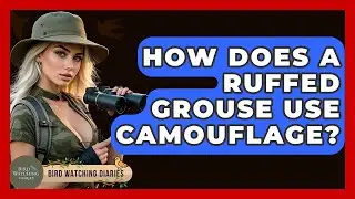 How Does A Ruffed Grouse Use Camouflage? - Bird Watching Diaries