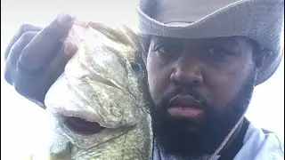 FINESSE WORM FISHING ZOOM TRICK WORM VS. BASS PRO MAG FIN-EKE WORM