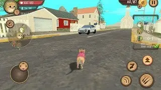 Cat Sim Online: Play with Cats Android Gameplay Ep 21