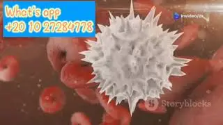 Medical Animation HIV and AIDS 1