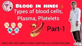 🩸 What is Blood? | Complete Information in Hindi/English 🩸(part-1)