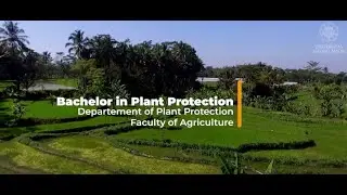 Profile of Bachelor In Plant Protection
