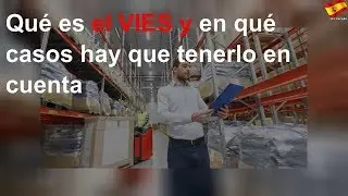 Si tienes una empresa, debes saber qu&eacute; es el VIES y en qu&eacute; casos tenerlo en cuenta
