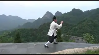 Taiji 39 (太极三十九式;  Tai Chi form 39)