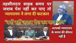 you are not worth the court's time / Court angry/ tahsildar Sahab in court #judge #court #advocate
