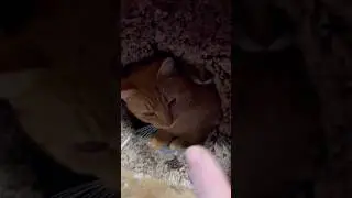 Наконец-то выше нуля!