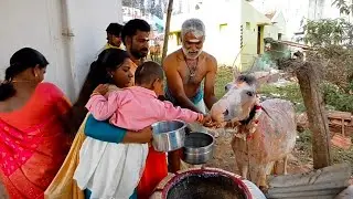குதிரைக்கு  பொங்கல் ஊட்டிய மலைக்கிராம மக்கள் 