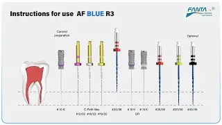 The instruction for use: AFBlueR3