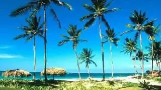 Hamza Robertson   Sami Yusuf- your beauty.flv