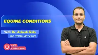 Equine Conditions | By Dr. Ankesh Bisla | Wise IAS