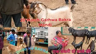 | 20 March Garhwa Jharkhand Bakra Mandi | Live Update | New Video | Bakra Eid