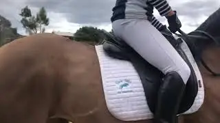 Kim Johnson and George HRCAV 3.4