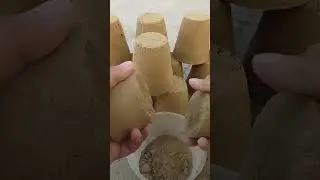 ASMR shorts: Ocean Sand crumbling video #asmr