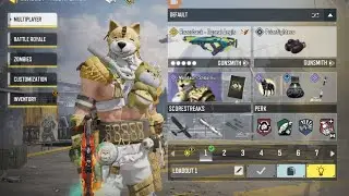 codm gameplay with  legendary razorback boreal aegis 