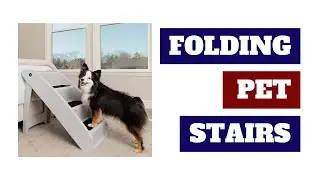 Best Pet Stairs | Pet Stairs for Dogs | Folding Dog Stairs Review | Pets Queen Tech | 2021