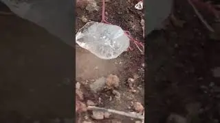 The Crystal Day💎 || రత్నాల అందం