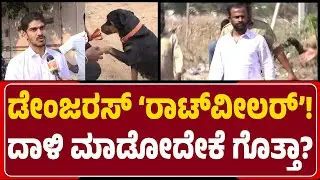 Davanagere : Rottweiler ನಾಯಿ ಸಾಕಲಾಗದೇ ರಸ್ತೆಗೆ ಬಿಟ್ಟಿದ್ದ ಮಾಲೀಕ Shailesh Arrest | @NewsFirstDavanagere