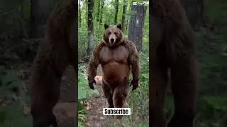 Run Bear! #hiking #bear #bearawareness #memes #funny #outdoors #bearattack