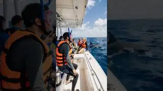 BREAKING NEWS: A shark unexpectedly attacks a family on an outing. Watch until the end.