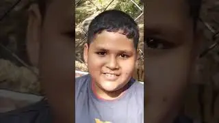 #hiphop #sher #tiger #animals #zoo #viral #love #masti #jai #top #zx10r #craze #viralstory #viralnow