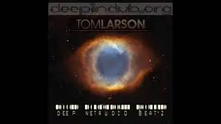 Tom Larson - Deep Netaudio Beatz [Deep In Dub]