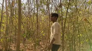 Eco Friendly.    Short Film