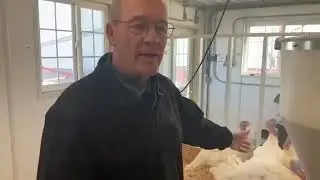 National Thanksgiving Turkey FarmChat&reg;