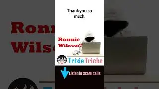 Dumb Ronnie Wilson | Trixie Tricks Scammers