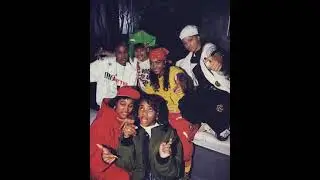 Female Emcees Old School Hip Hop Tracks💛 (No AI)