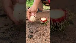 Survival Skills: SMART idea and USEFUL in Forest #bushcraft #camping #outdoors #survival