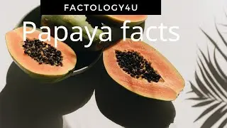Interesting facts about papaya || Papaya facts || Fruits fact || #shorts