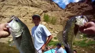 CastToCatch Bass Fishing At Castaic Lake ! QC Ep. 7