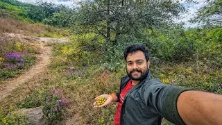 Jungle Me Berry Mila 😲 Nature Surprise