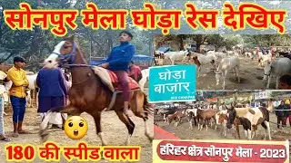 सोनपुर मेला घोड़ा रेस 2023 | Sonpur ka mela | Sonpur Mela