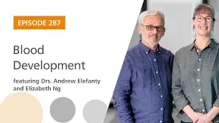 Blood Development featuring Drs. Andrew Elefanty and Elizabeth Ng | The Stem Cell Podcast