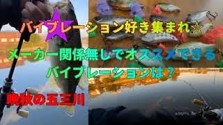晩秋の五三川、良いルアーは良い！メーカー関係無しでお勧めできるバイブレーションは？