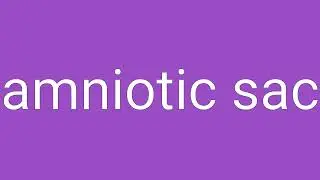 Amniotic Sac Definition & Meaning