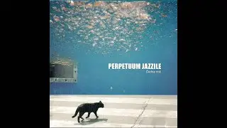 Perpetuum Jazzile - Čudna Noč - Radio Mix
