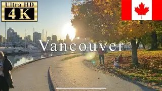 🇨🇦🍁Stanley Park Vancouver Autumn Foliage 4K 60fps - 10 minutes walk - | iPhone 11 Pro
