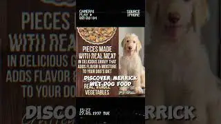 Best Merrick Grain Free Wet Dog Food Variety Pack